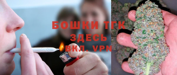 гидра Дмитриев