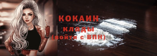 гидра Дмитриев
