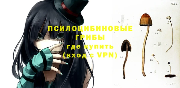 гидра Дмитриев