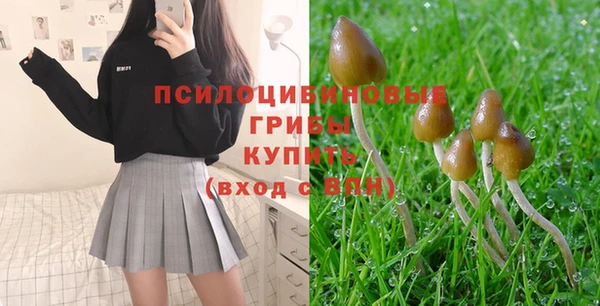 гидра Дмитриев